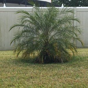 Meet your Posher, Kathleen